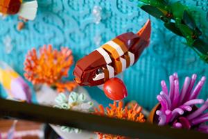 LEGO 10366 Tropisches Aquarium