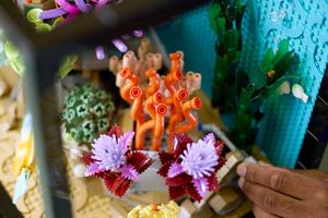 LEGO 10366 Tropisches Aquarium