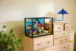 LEGO 10366 Tropisches Aquarium