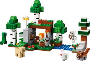 LEGO 21593 Erstes Abenteuer in der Nacht
