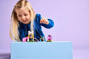LEGO 42665 Welpenspielplatz