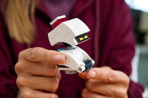 LEGO 43279 WALL-E und EVE