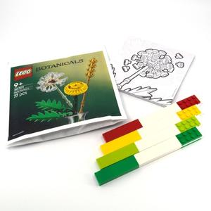 LEGO 5009964 Botanicals-Kreativset