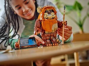 LEGO 75430 Der Ewok Wicket